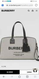 Picture of Burberry Handbags _SKUfw160162163fw